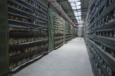 Expansive mining farm infrastructure powering diverse cryptocurrency operations