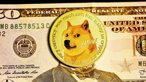 Dogecoin mining setup